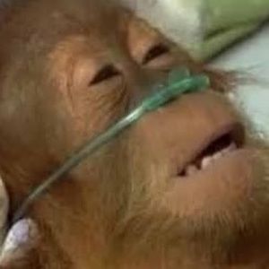 Meet your Posher, J-jizzle